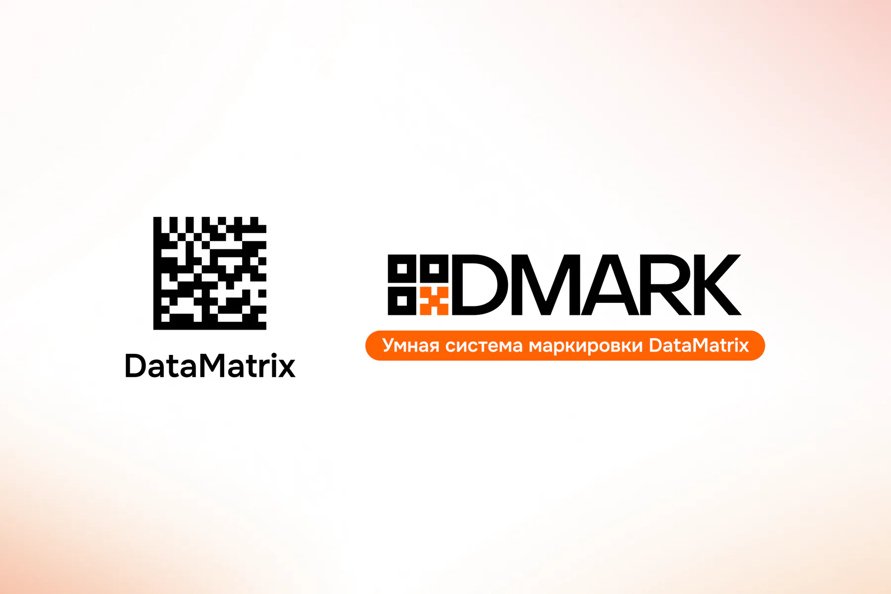 Как устроен DataMatrix — Риск для бизнеса?